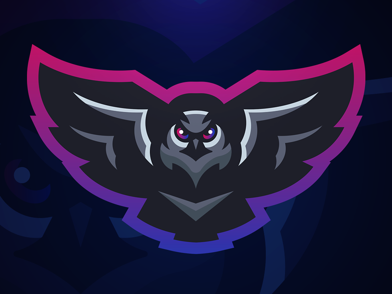 Owl Mascot Logo Design By Afan Nalic On Dribbble