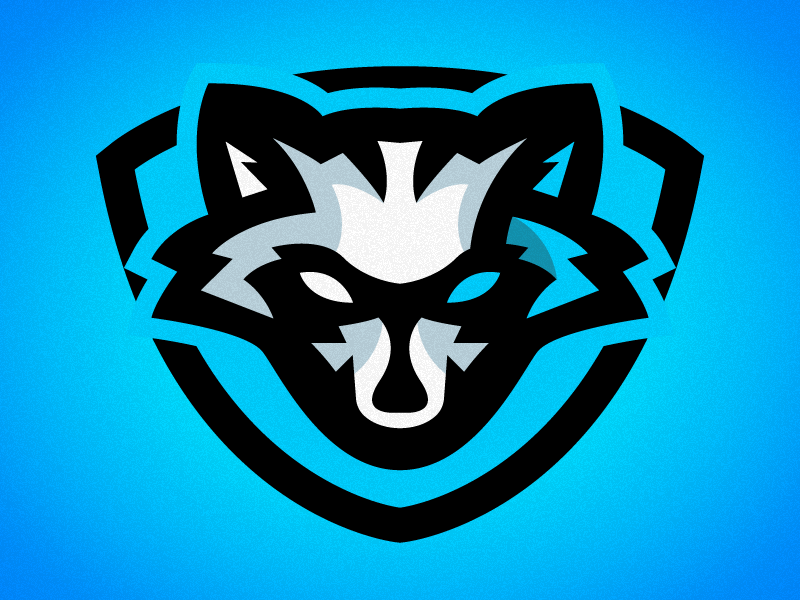 Raccoon Mascot Logo by Afan Nalic on Dribbble