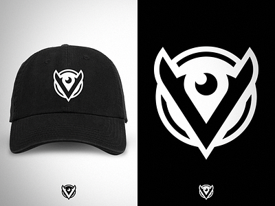 Vision Logo eye icon logo logos sharp team typo v vision w wild