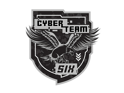 Cyber Team 6 Badge