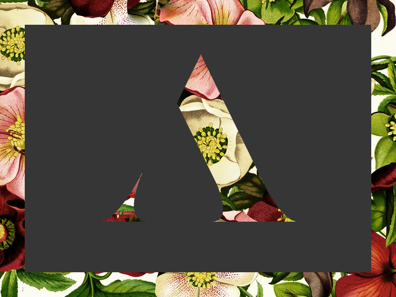 A Letter typography type days 36 lettering letter a