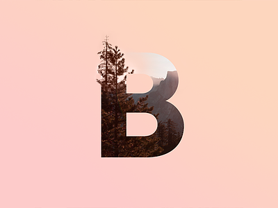 B Letter 36 b days letter lettering type typography