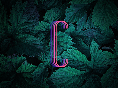 C Letter 36 c days letter lettering neon type typography