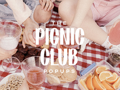 The Picnic Club Branding brand design brand designer brand identity brand identity design branding branding design creative design creative direction graphic designer packaging design small business visual design visual designer