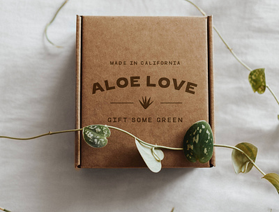 Brand & Packaging Design for Plant Delivery Shop art direction brand design brand designer brand identity brand identity design branding branding design creative direction design graphic designer logo logo designer packaging design