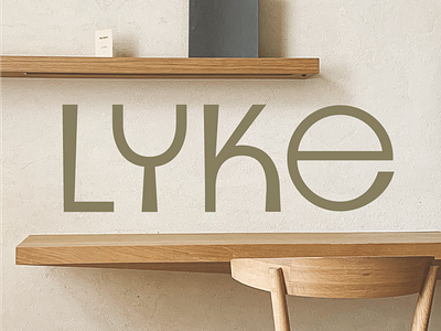 Branding & Logo Design for LYKE