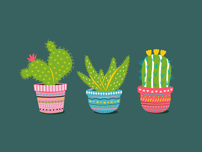 Boho Cactus