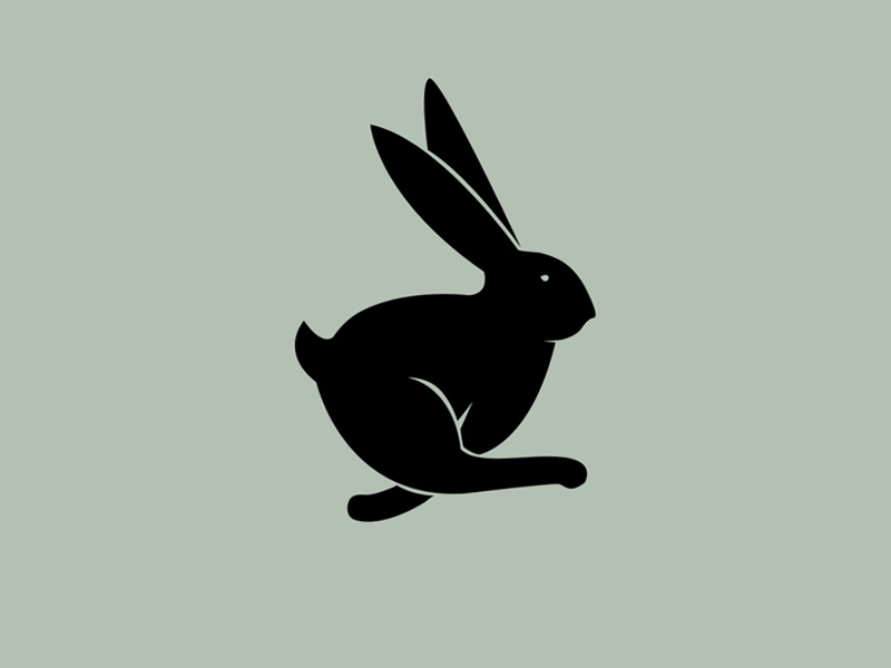 Hairy Hare by Meital Shushan on Dribbble