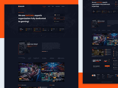 E-sports organisation homepage