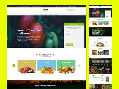 Trioli Organic Store Web Design app design food store graphic design interaction design typography ui web design website