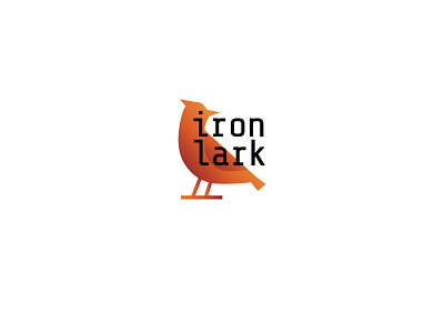 logo consulting development iron it lark logo qa