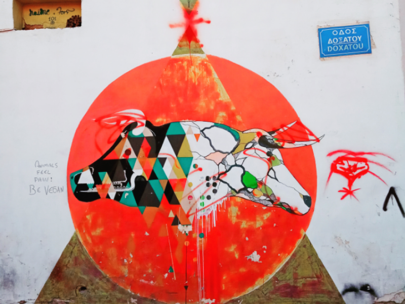 Τοιχογραφία στόν Βοτανικό - Athens Wall Design φωτογραφία reputation management digital strategy community management photo retouching storytelling ux design cms web design content management social media management athanassios kollyris αθανασιος κολλυρης αθανασιοσ κολλυρησ