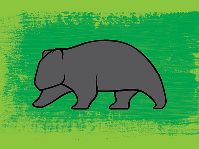 Wombat design illustration wombat