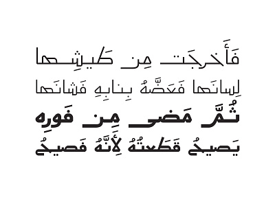 Aaber - Arabic Typeface خط عربي