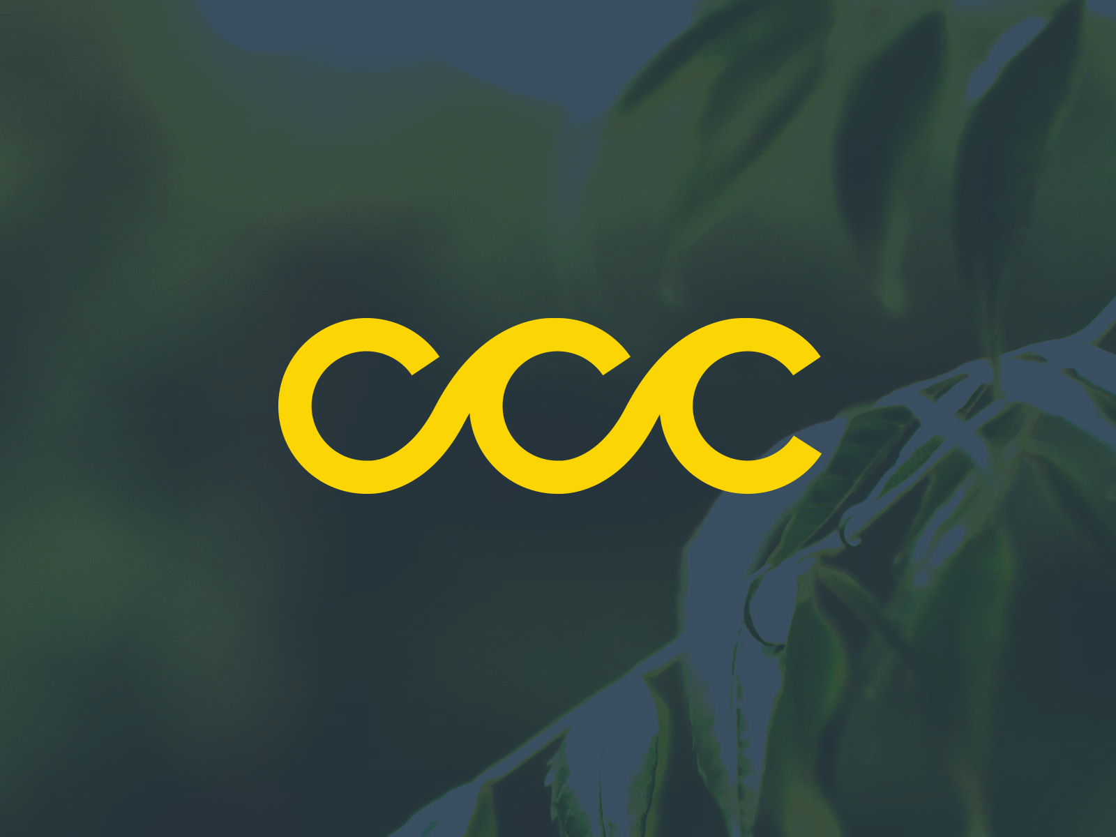 CCC Logo Design, Inspiration for a Unique Identity. Modern Elegance and  Creative Design. Watermark Your Success with the Striking this Logo.  26591293 Vector Art at Vecteezy