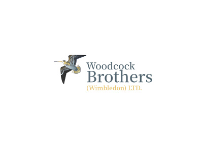 Woodcock Bird Illustrative Logo