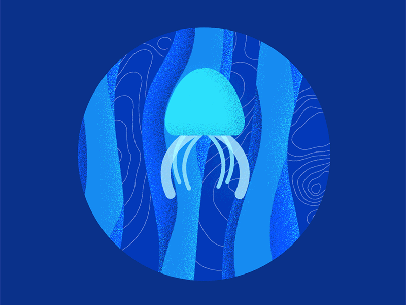 Jellyfish 2danimation jellyfish motion sea water
