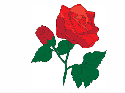 Red Rose graphic design