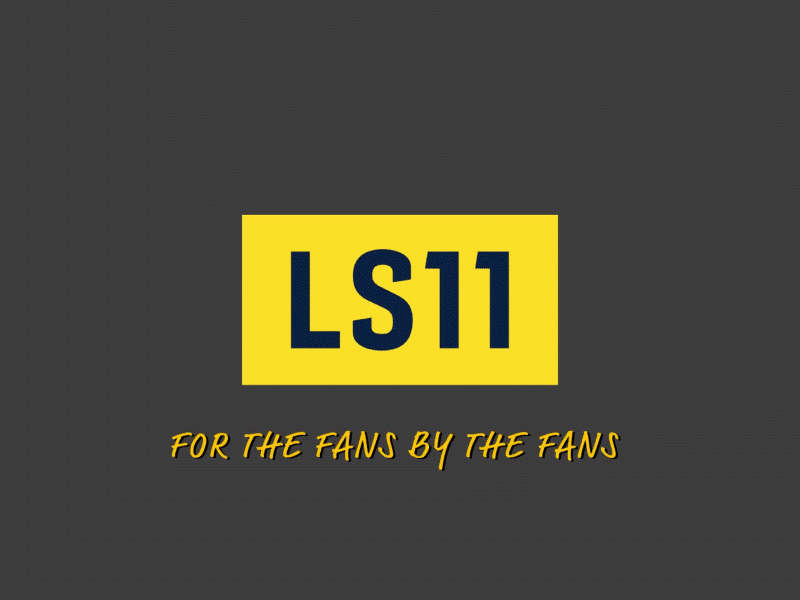 LS11 - Logo Animation