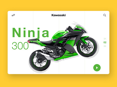 Kawasaki Ninja