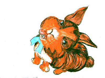 Цифровая иллюстрация branding design graphic design illustration logo кролик смешные животные украина цифровая иллюстрация