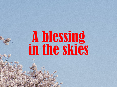 A blessing in the skies