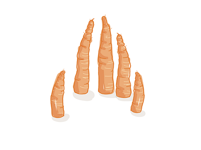 Carrot fingers carrots fingers hand drawn illustration vegetables