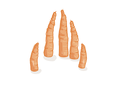 Carrot fingers