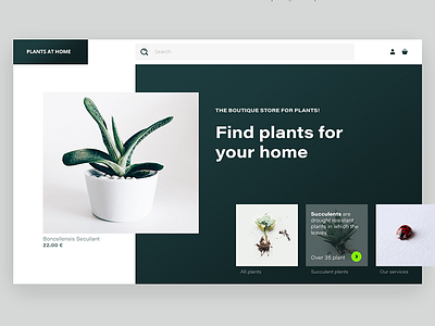 Plants At Home Concept Of Website Store ecommerce shop flat design flower geometric hover plants ui