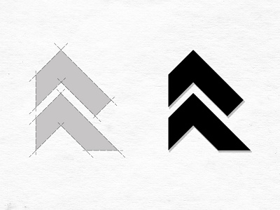 Raven branding design graphic design logo vector