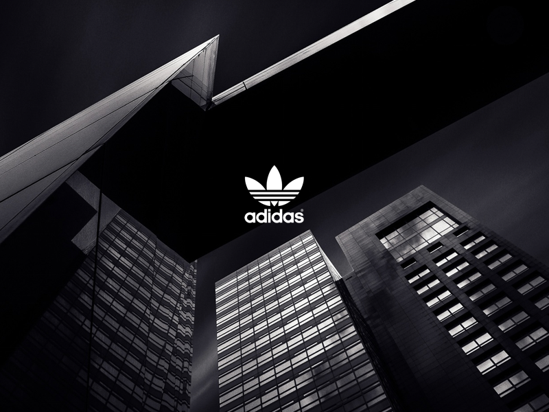Adidas 2 color colour sneaker architecture adidas graphic