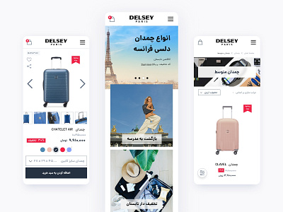 DELSEY Iran branch Website - mobile version