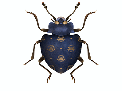 Insects illustration with designed pattern II.