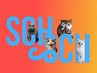 Hull's School Brand Identity - cats of Zurich