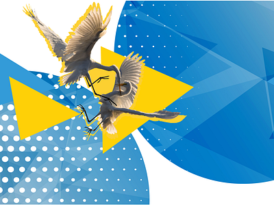 Promote Ukraine Identity birds birds fighting blue brand design brussels fight graphic design identity identity design illustration munich ngo promote ukraine saint digital ukraine ukraïna yellow