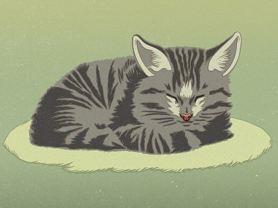Pussycat drawing graphic design illustration