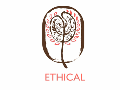 ECC Logo Animation