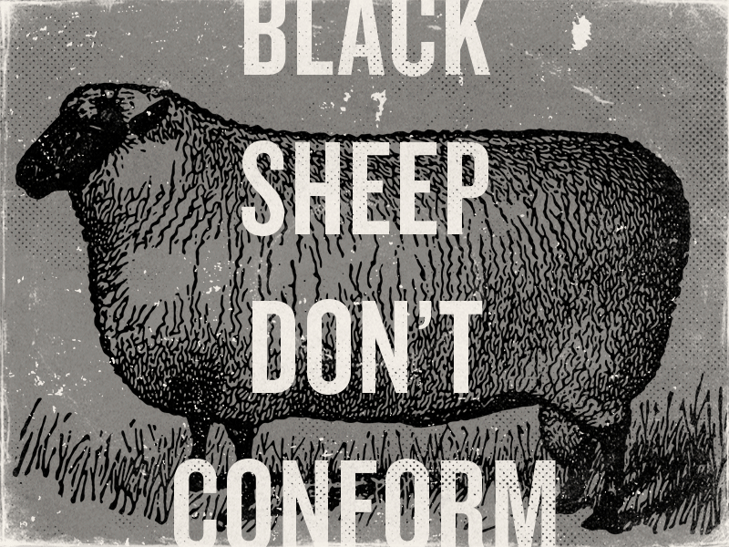 Black Friday Promo Graphics black conform dont friday grit sheep texture