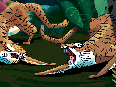 Tigress fighting animal print fight illustration jungle safari tiger tigress