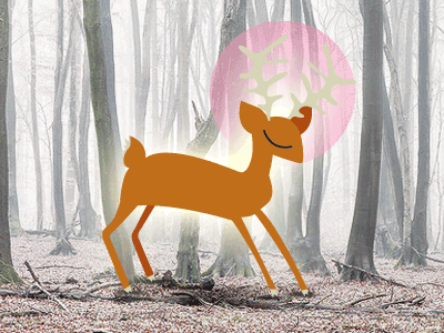 Holy Fawn deer fawn forest gif holy