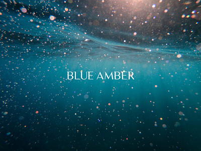 Blue Amber amber awards blue branding design fin gold identity invitation logo mark sea wheal