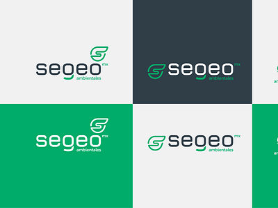 SEGEO_Logotype process