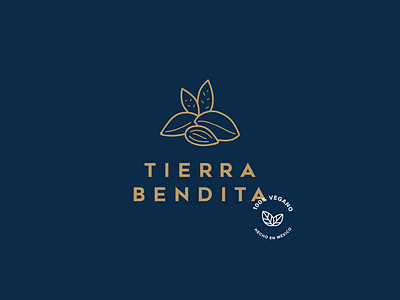 Tierra Bendita _ Logo application