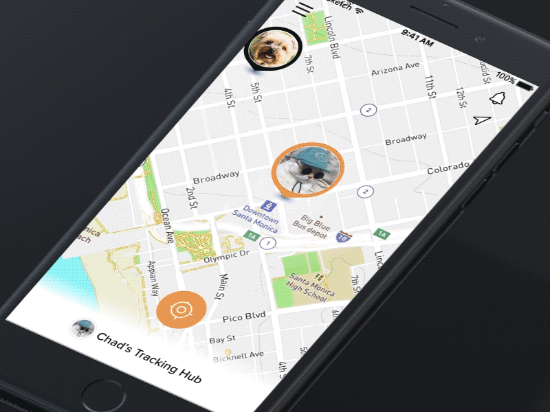 Fynd Chad activity gps hub map pets tracking ui ux