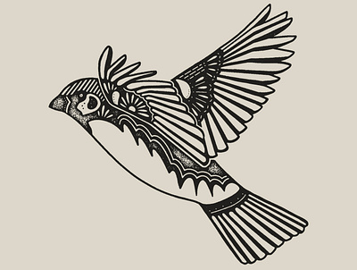 Sparrows bird bird illustration birds illustration sparrow texture wings