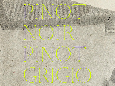Pinot Typeface custom typeface custom typography neon roman serif stone