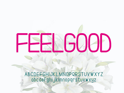 Feelgood font alphabet font design font logo font modern font unique font