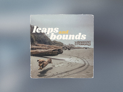 Leaps & Bounds - Album Cover album artist branding cd commission digipaks ep music musician print