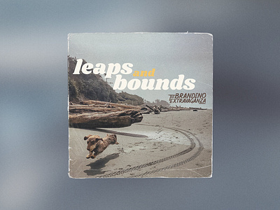 Leaps & Bounds - Album Cover