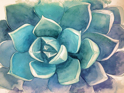 Succulent Echeveria Grus painting succulent traditional watercolor